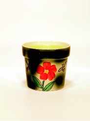 12 ounce Dragonfly